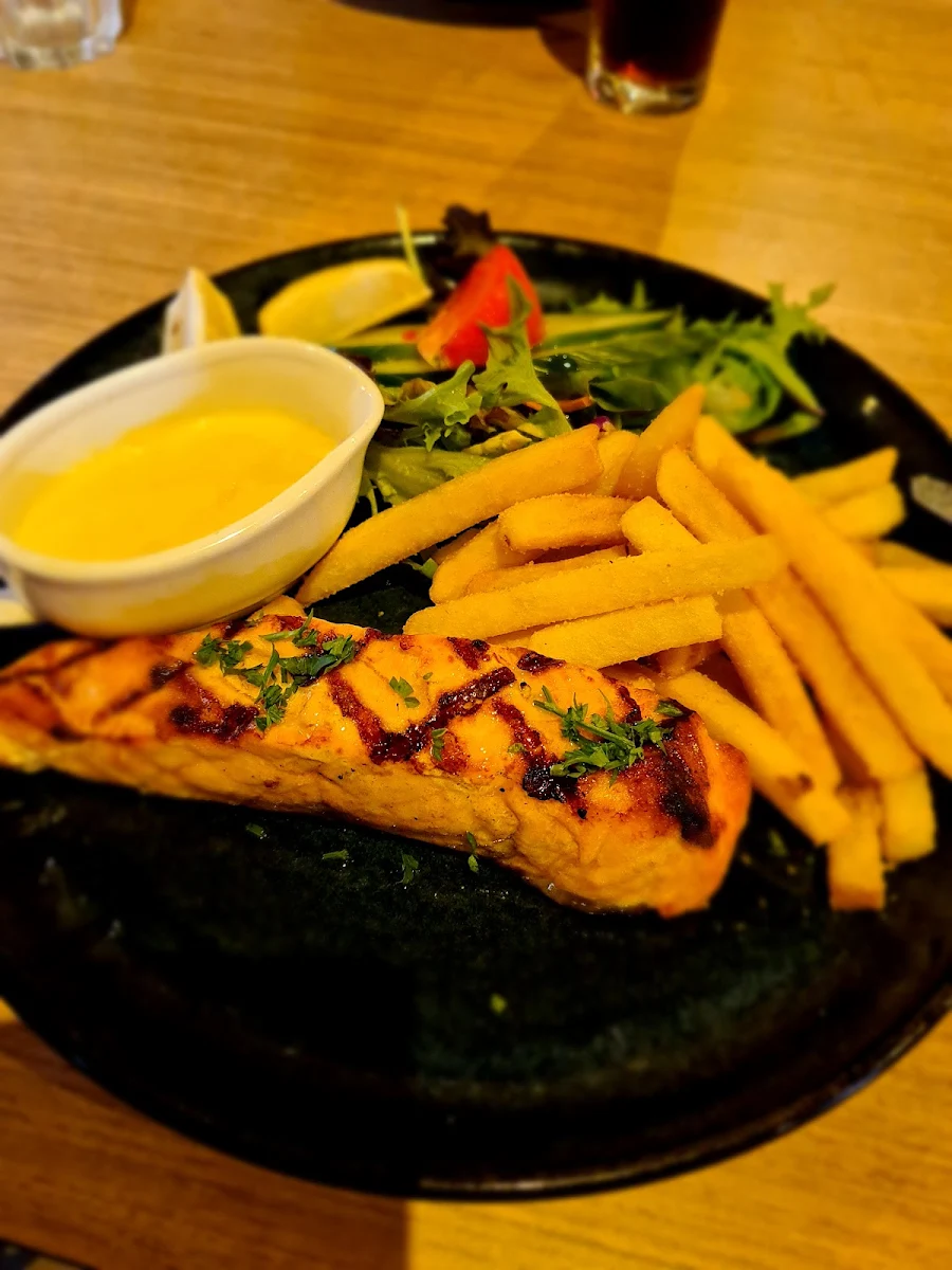 Salmon