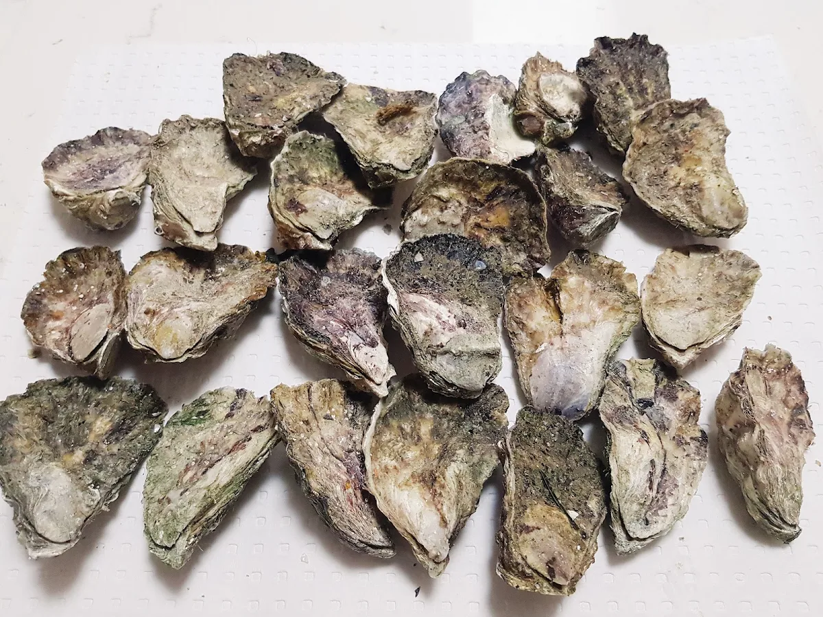 Highlights, McKay's Oysters