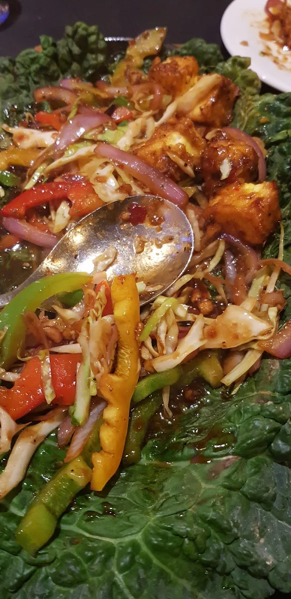 Chilli Paneer, The Original Jewel of The Park