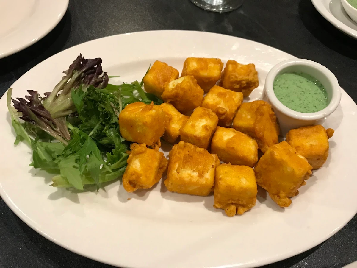 Paneer Pakora, The Original Jewel of The Park