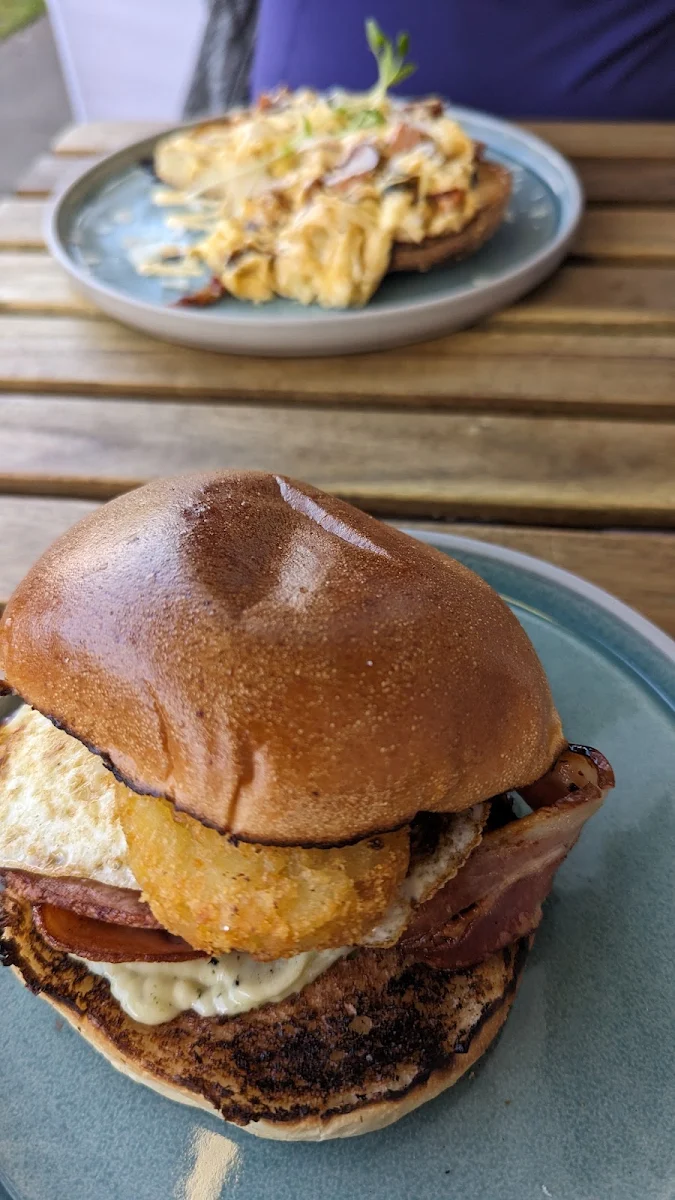 Bacon and Egg Roll, PICO in Curly