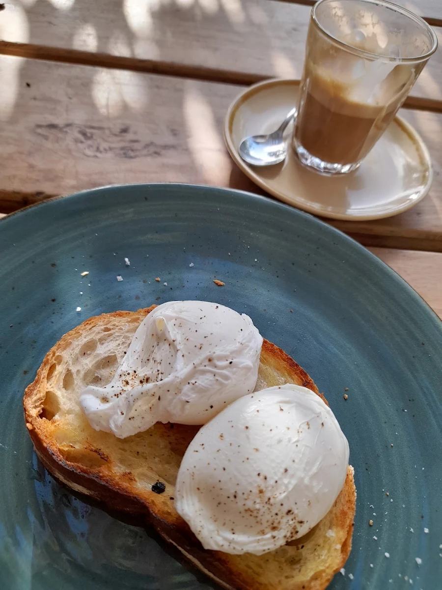 Poached Egg