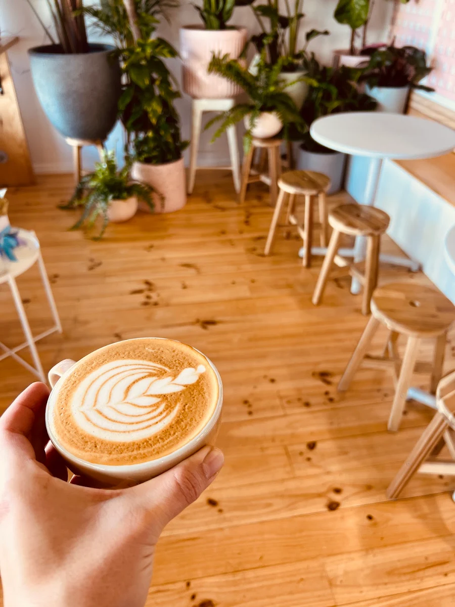 Coffee Date, Oh Honey