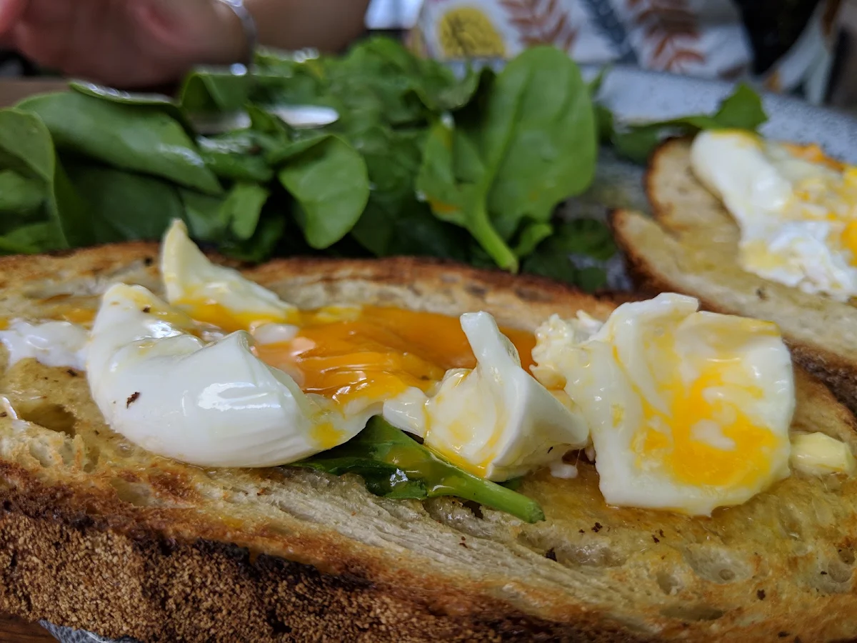Eggs on Toasted Bread