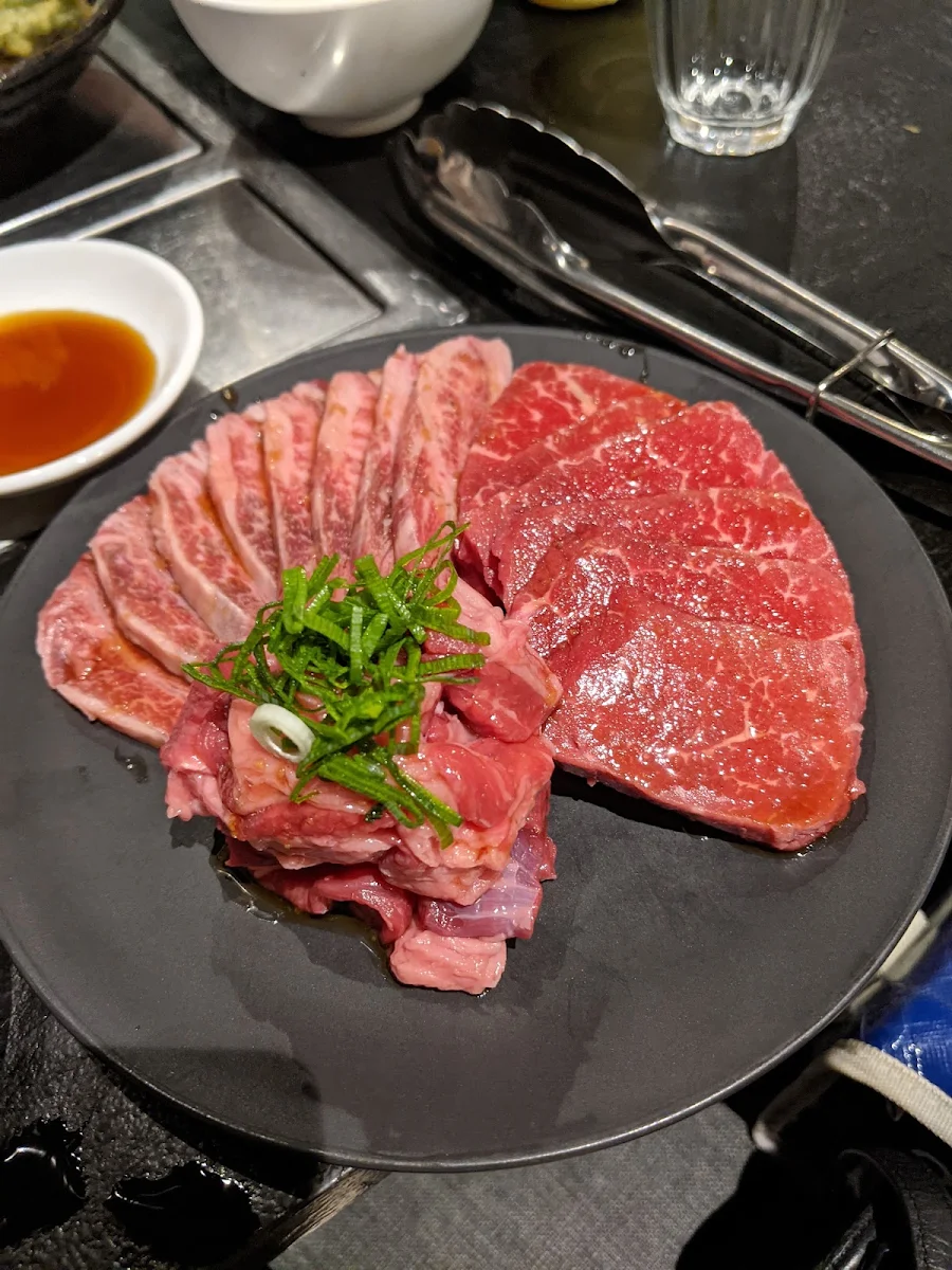 Highlights, Gyu-en DOS Willetton