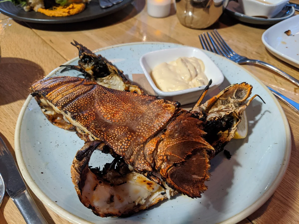 Morton Bay Bugs