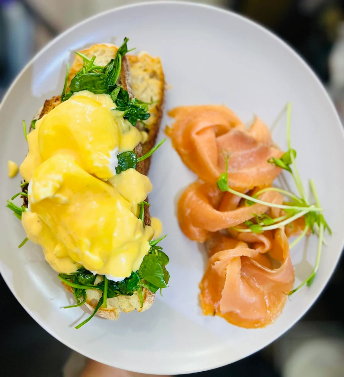 Truffle Mushroom Benny