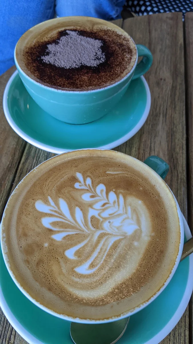 Coffee, Yield Narrabri