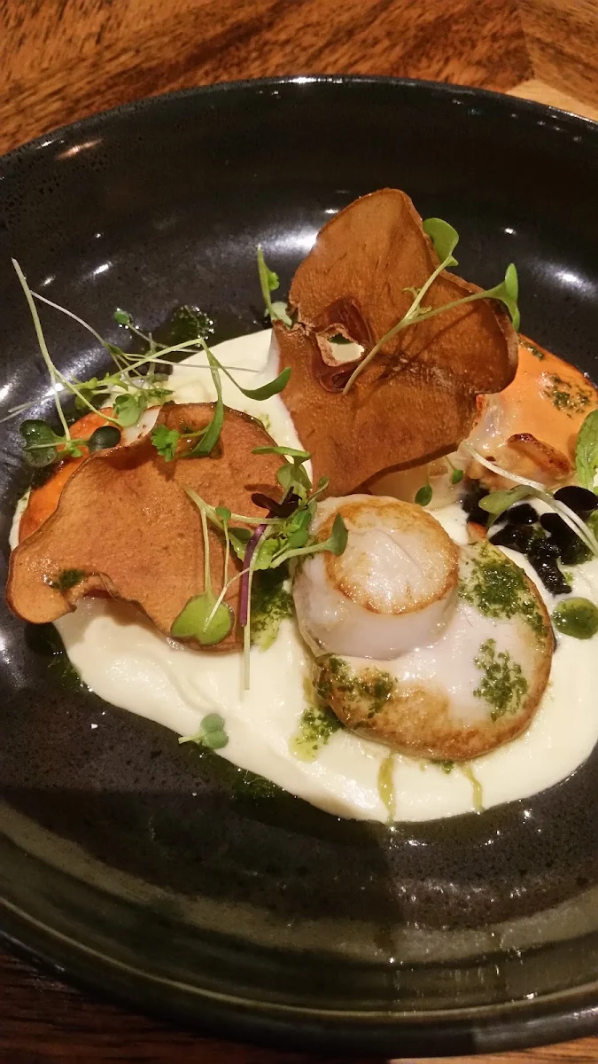 Seared Scallops