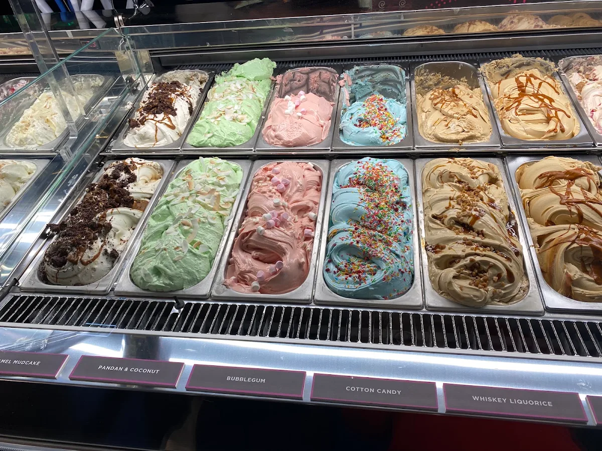 Highlights, Augustus Gelatery - Sandringham
