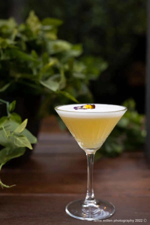 Highlights, Jashn Courtyard / Whiskey Library