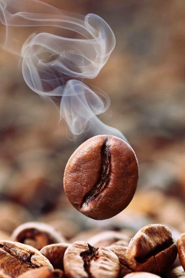 Highlights, Don Adan Coffee Too
