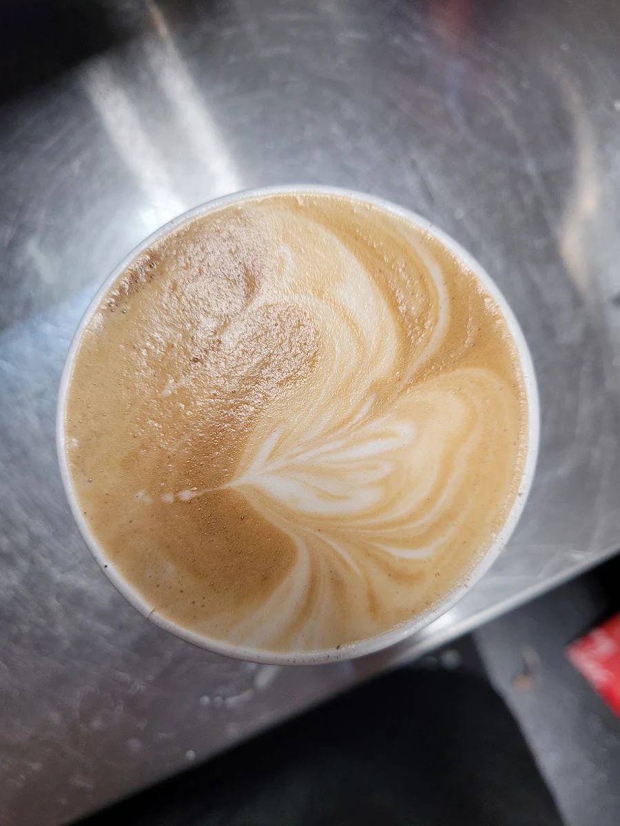 Highlights, 480 Specialist Cafe