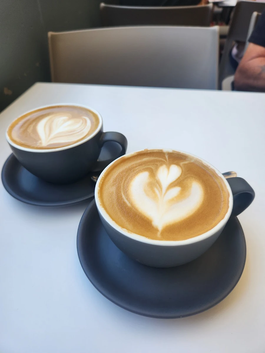Latte Regular, Jamaica Blue Joondalup