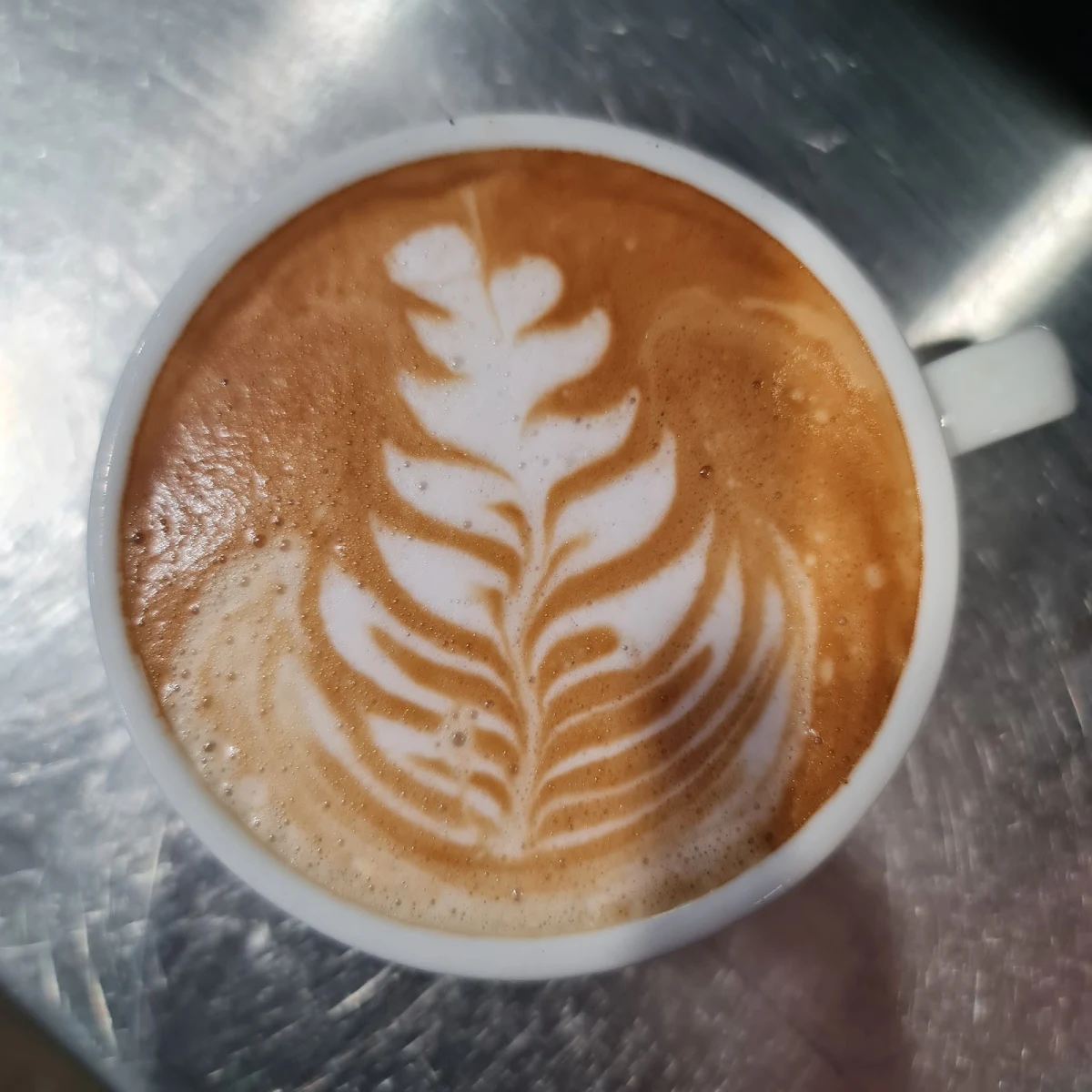 Highlights, GRAB A BITE ON BANCROFT