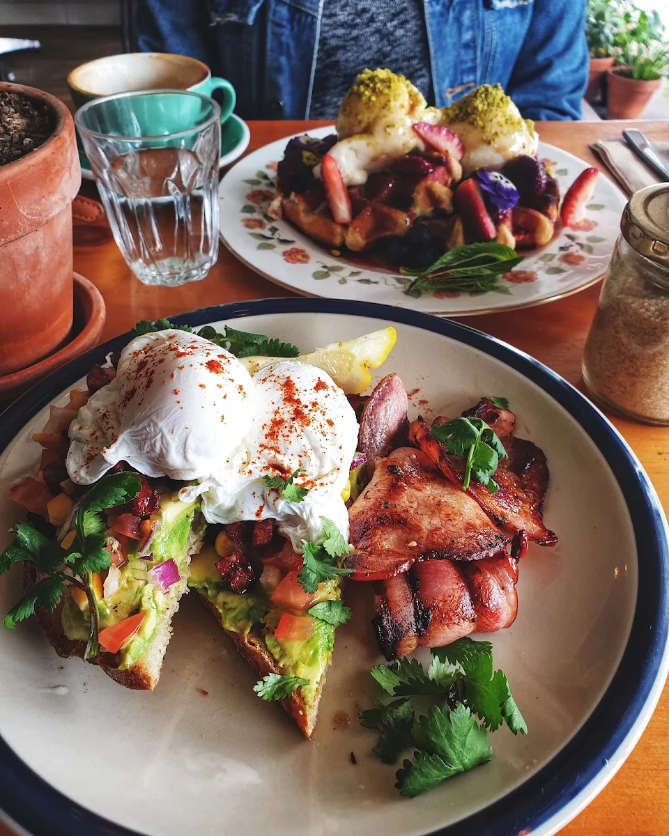 Smashed Avocado, The Old Boy