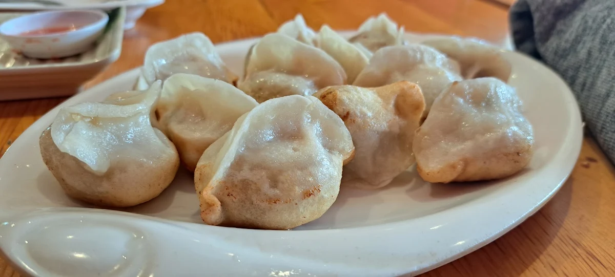 Fried Pork Dumpling
