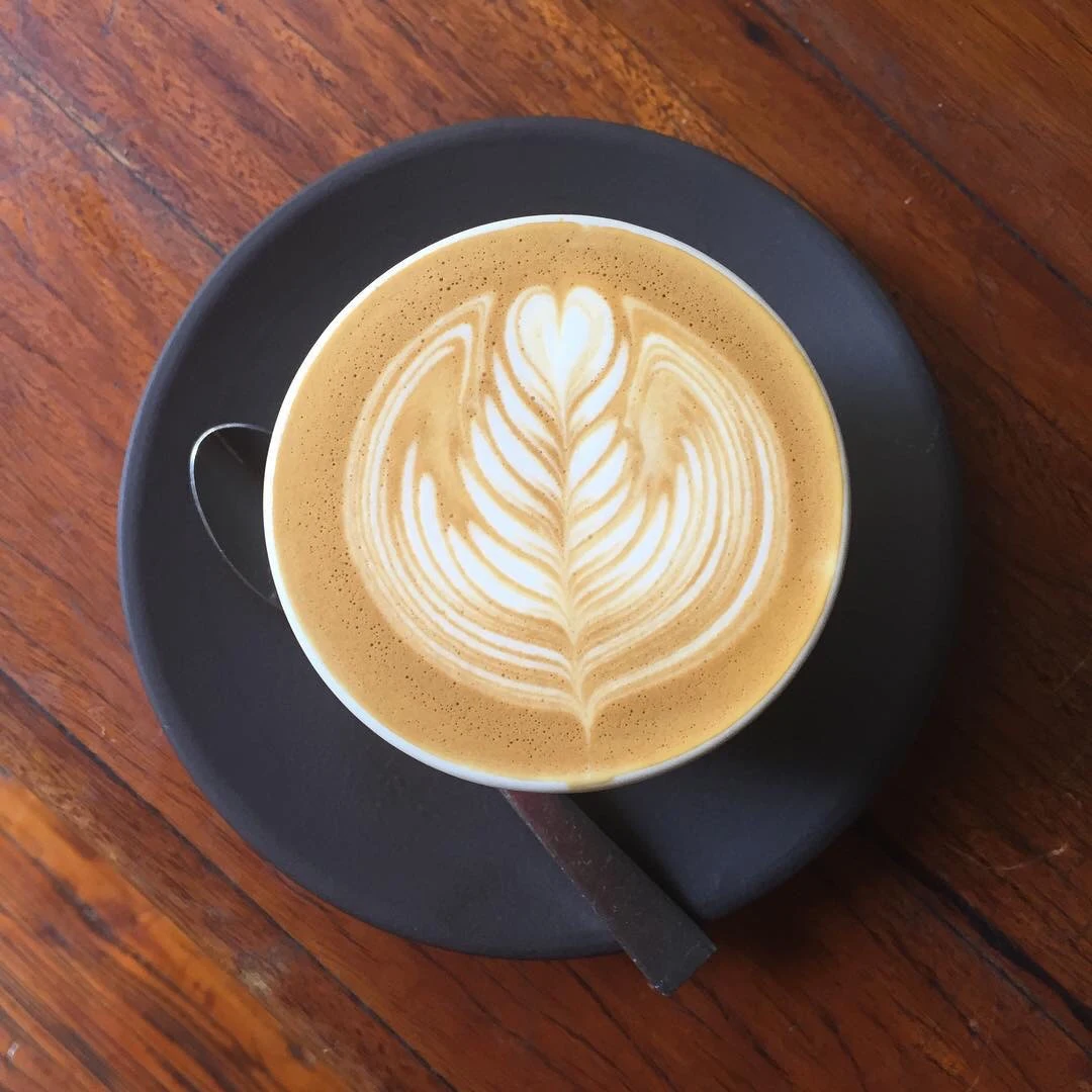 Mocha, Sample Coffee