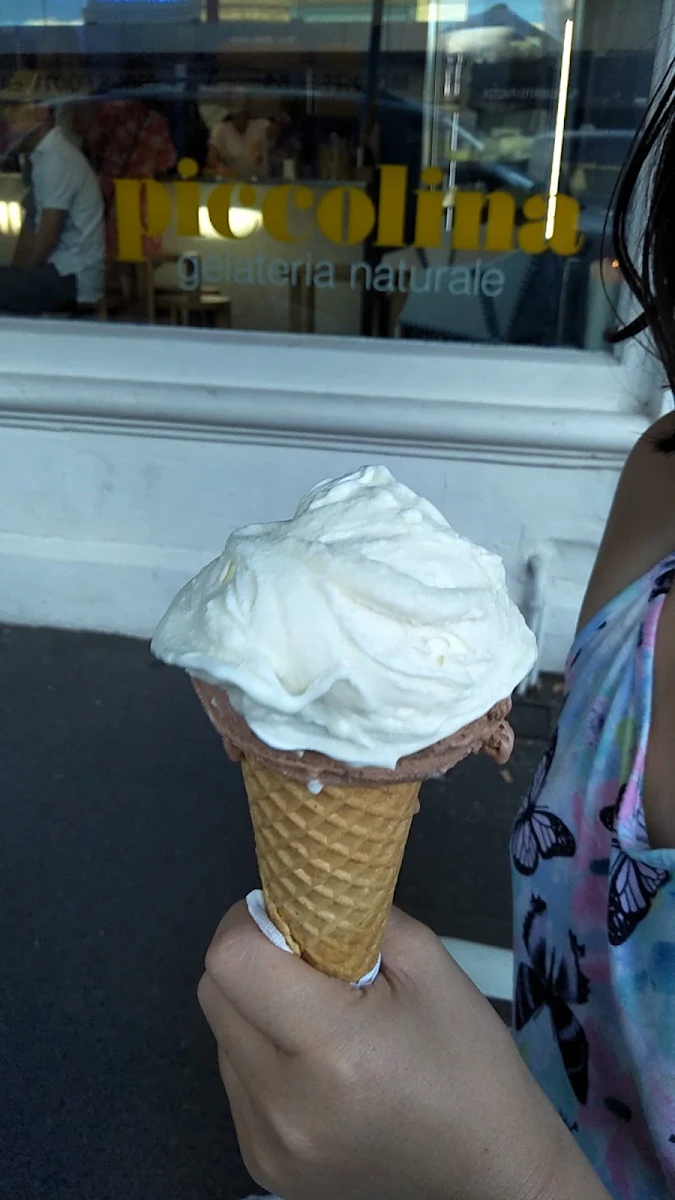 Vanilla Ice Cream