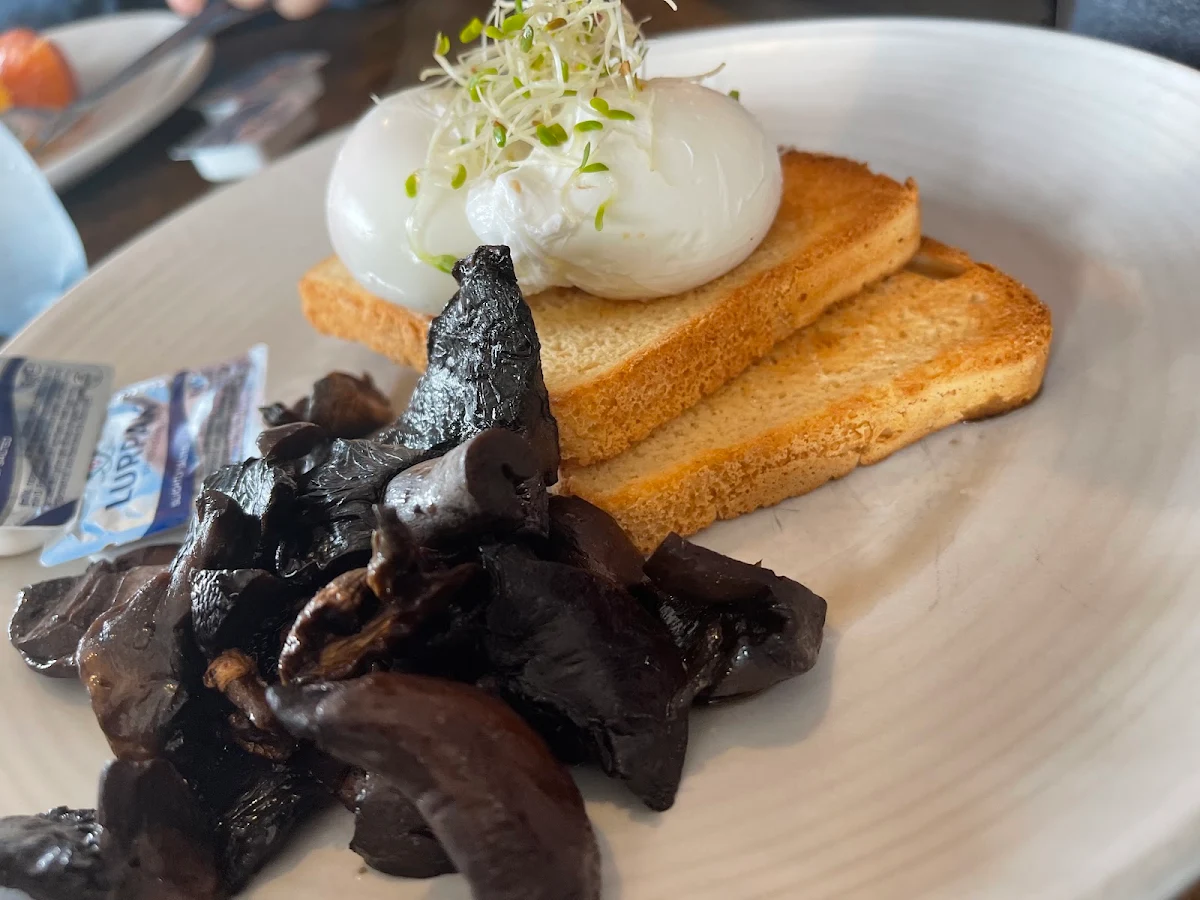 Poached Eggs