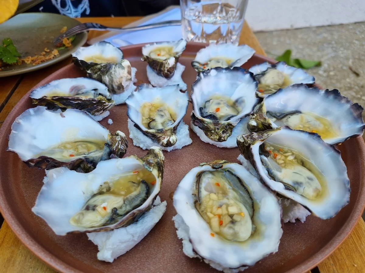 Oysters
