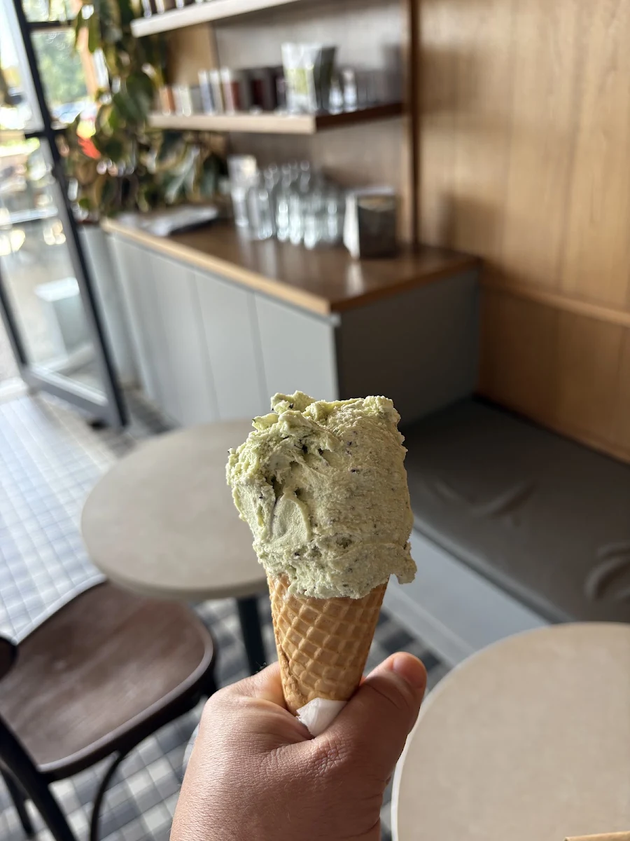 Mint Choc Chip