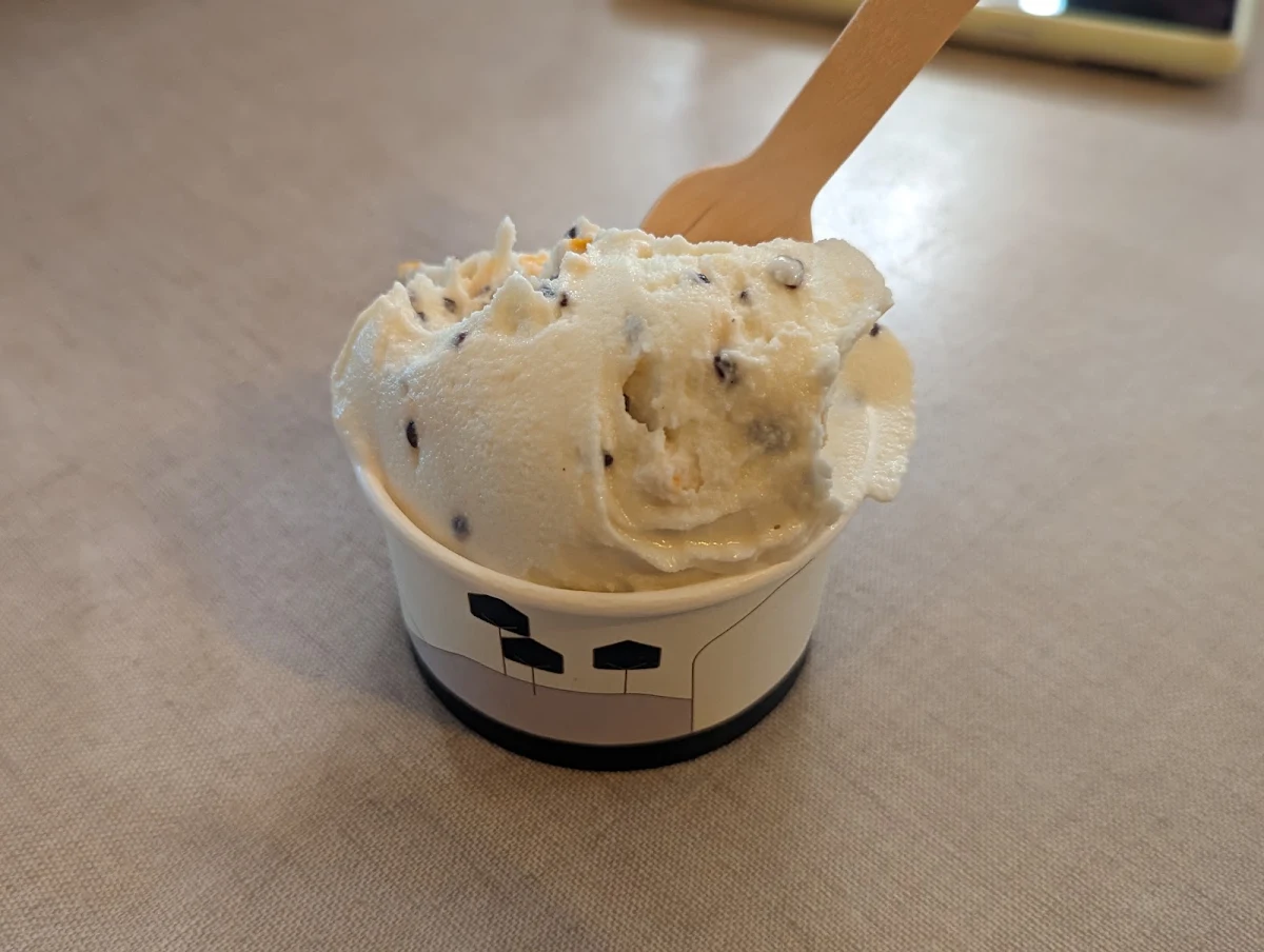 Ricotta Orange Chocolate Chip