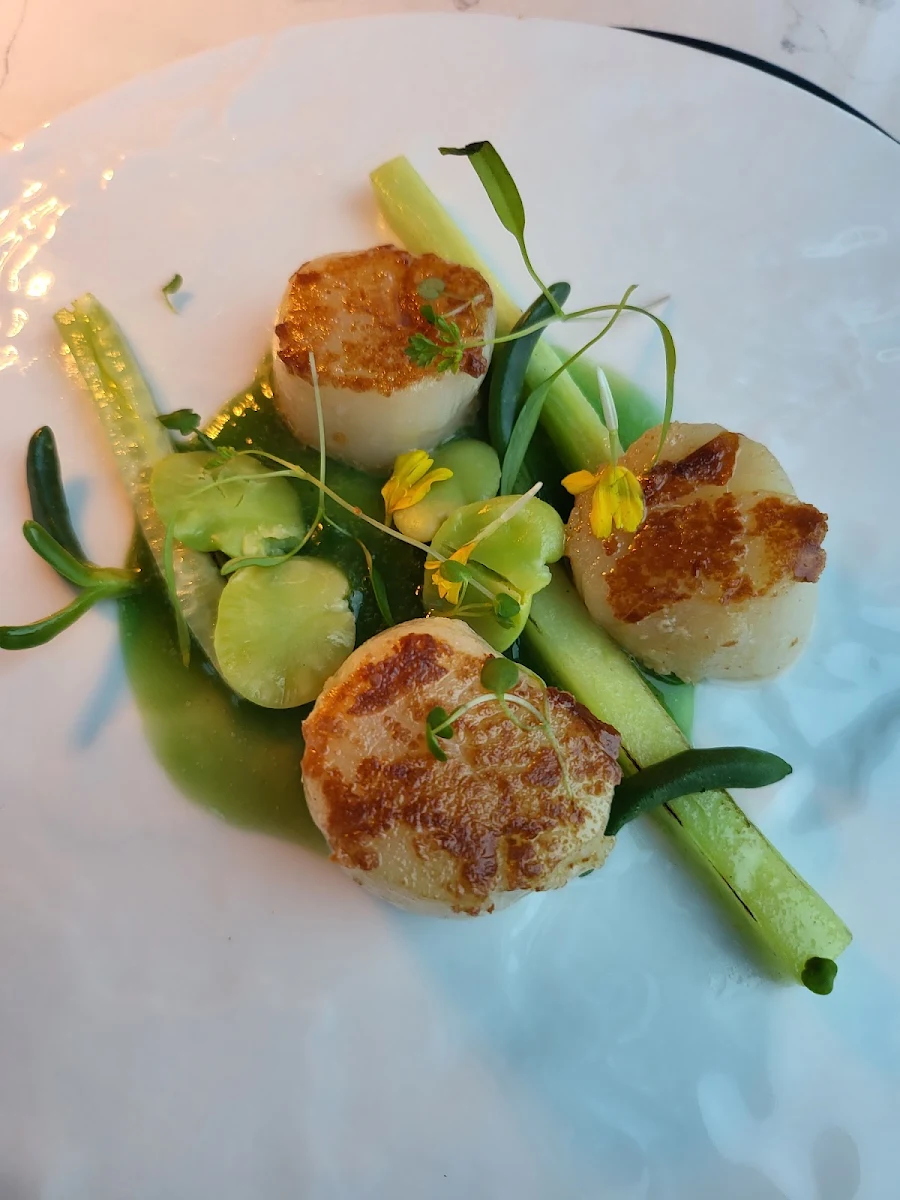 Roasted Scallops, Strato Melbourne - Bar and Restaurant