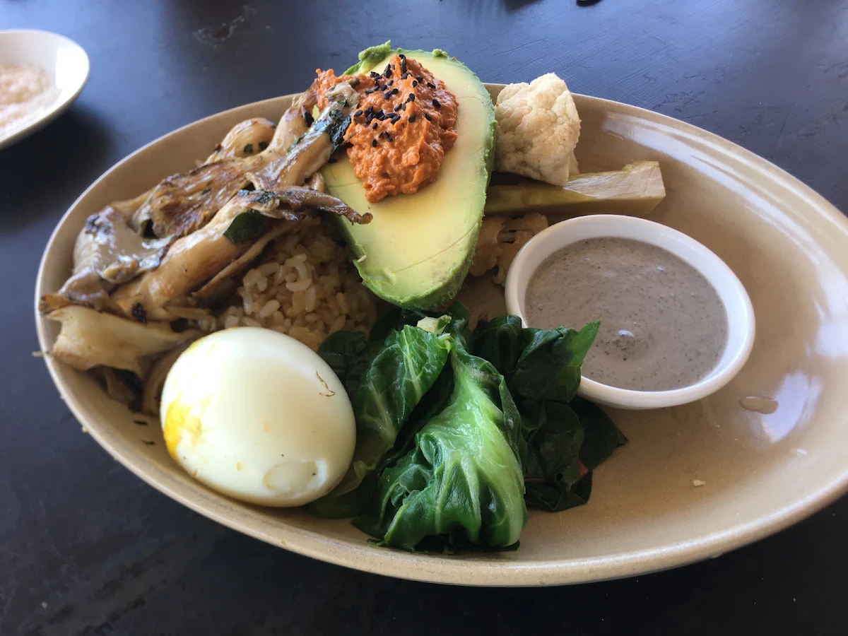 Highlights, CERES Organic Cafe