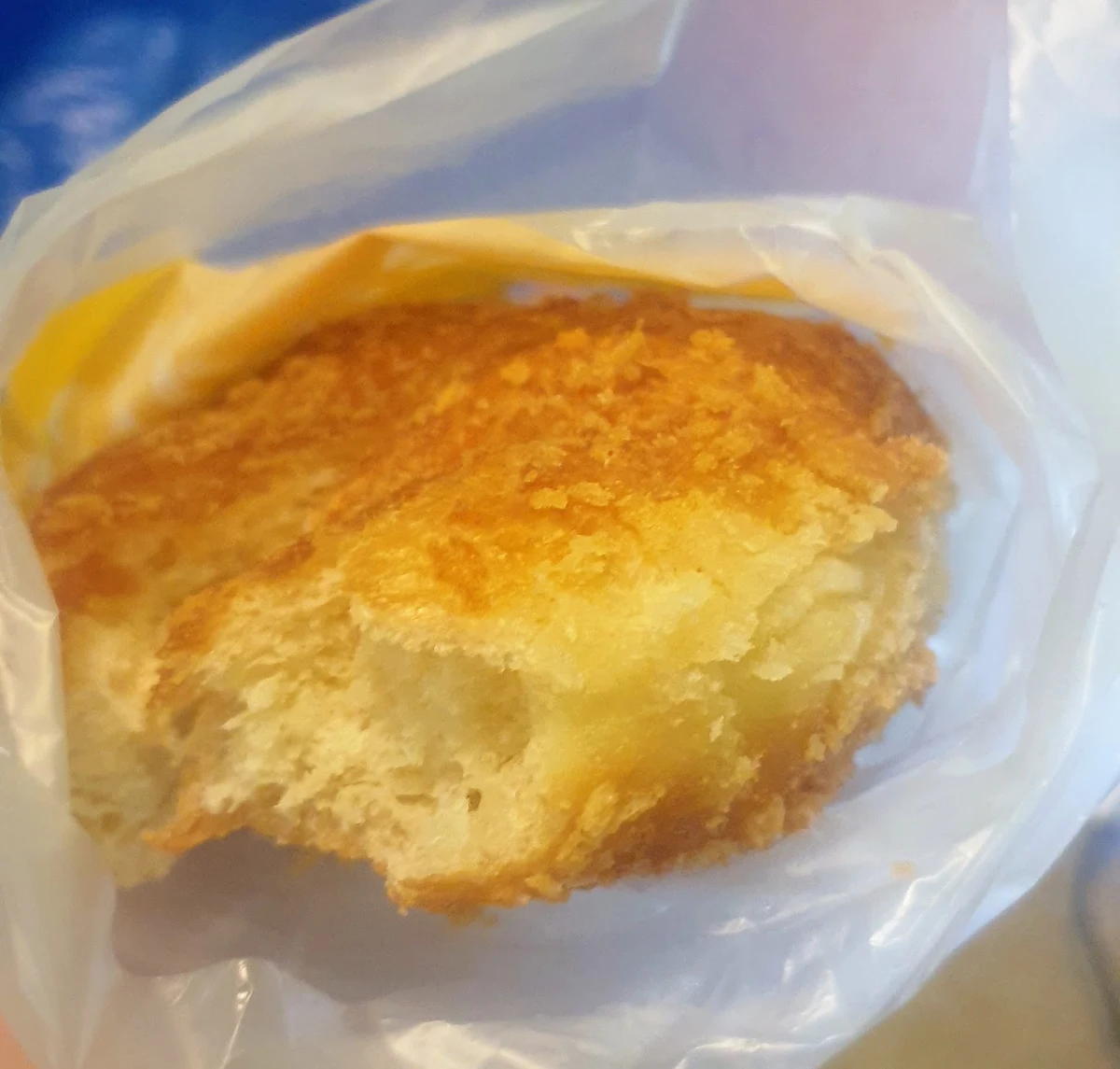 Chicken Mushroom Bun