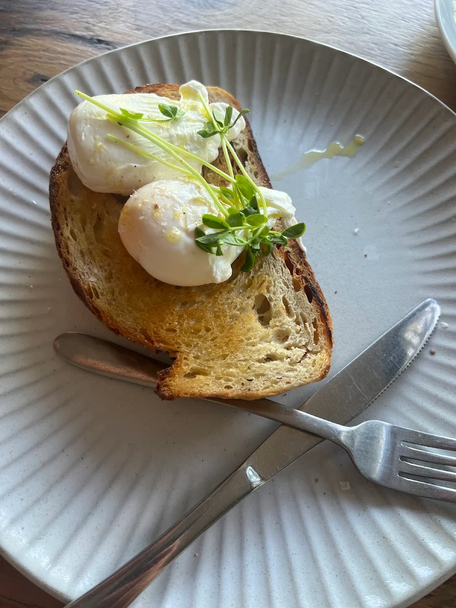 Poached Eggs on Toast