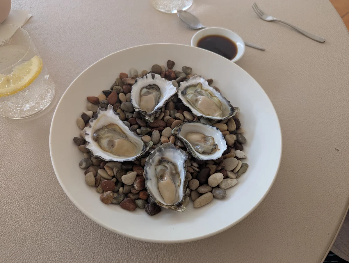 Oysters on the Half Shell