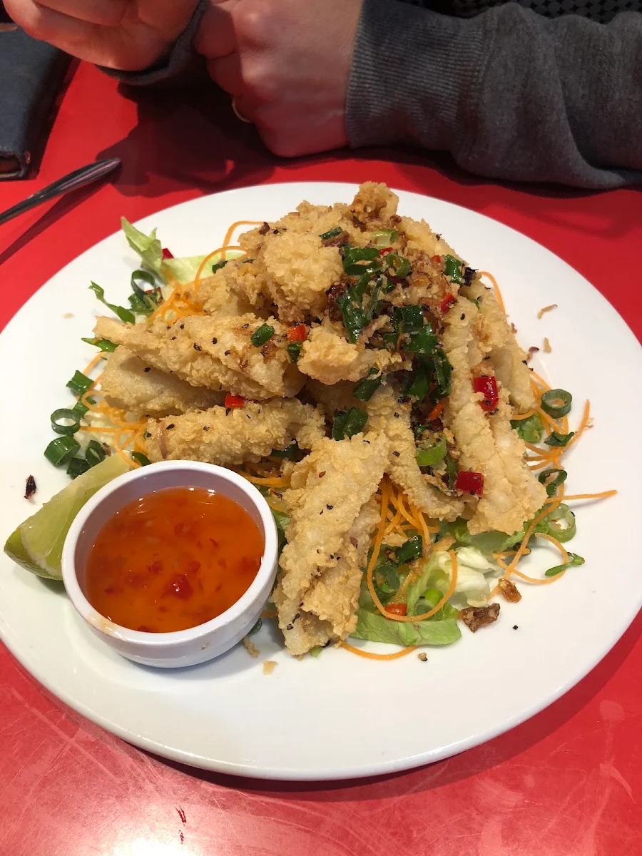 Salt & Pepper Squid, Thai Central Wetherill Park