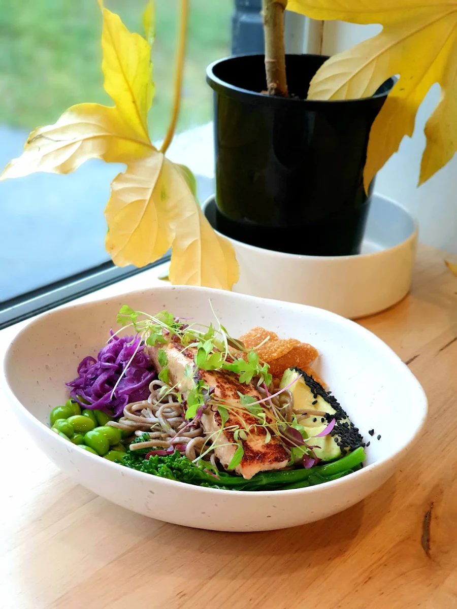 Miso Salmon Bowl