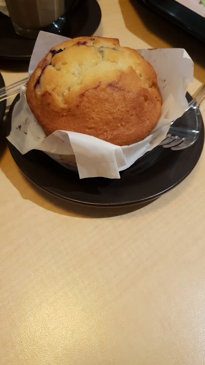 Blueberry Muffin