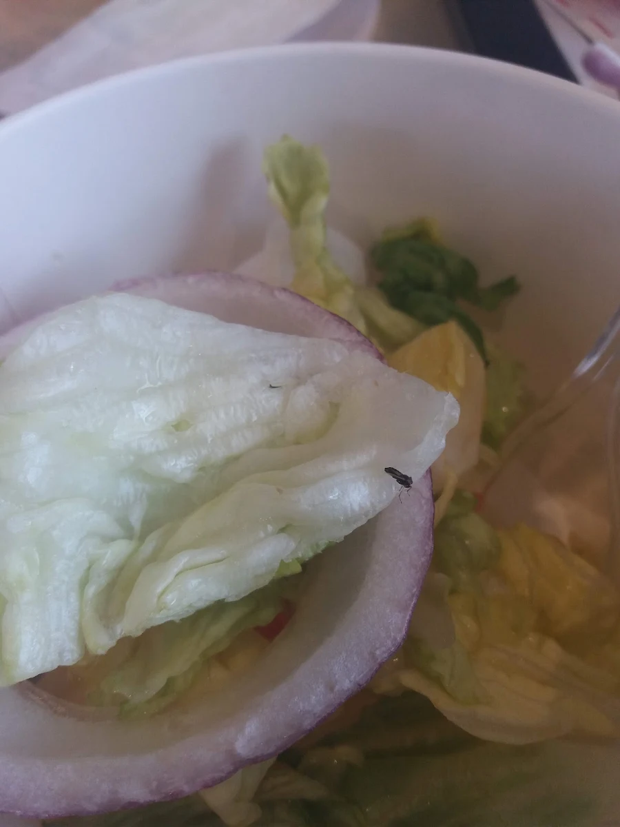 Salad, McDonald's Toowoomba
