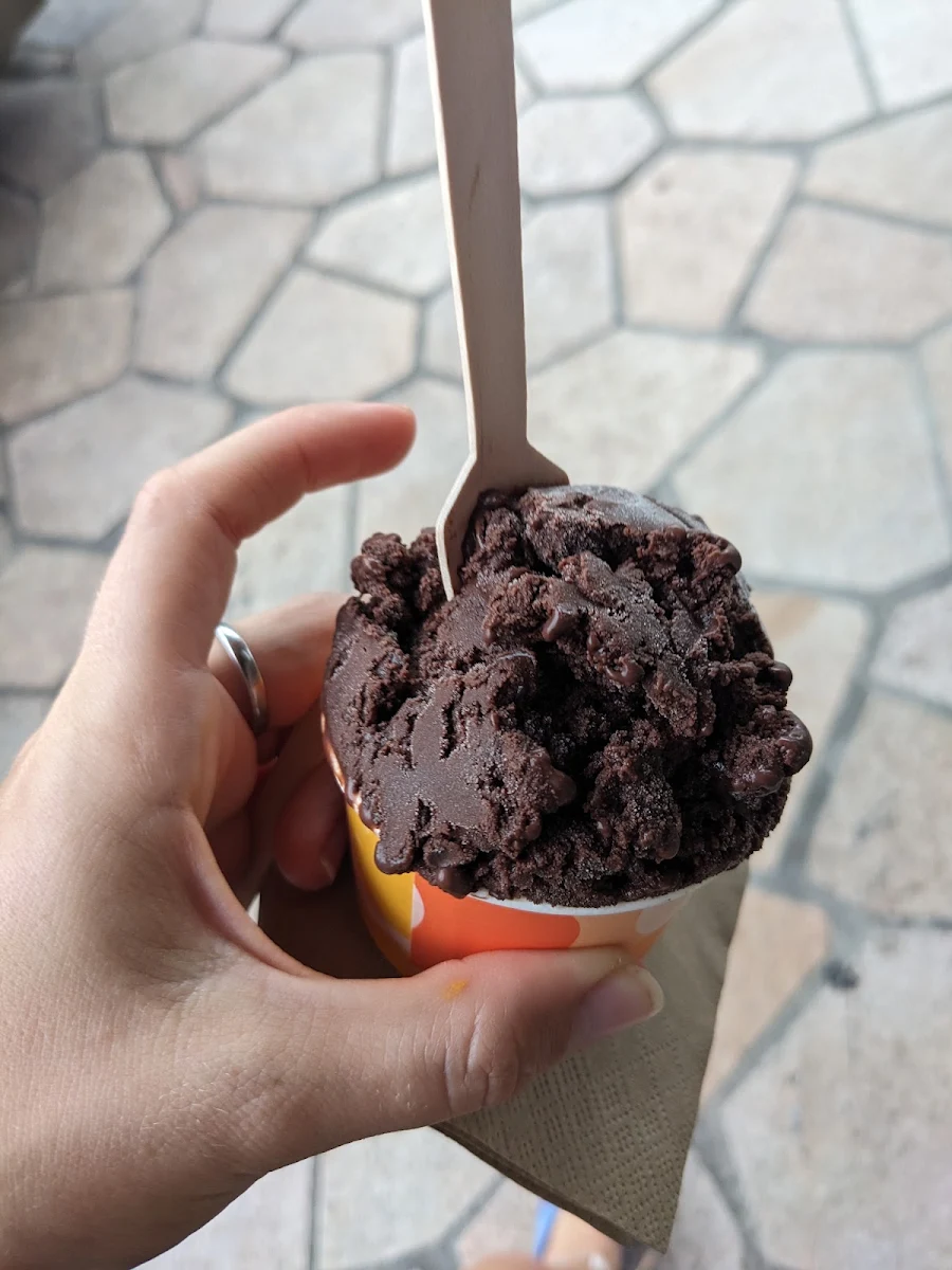 Chocolate Sorbet