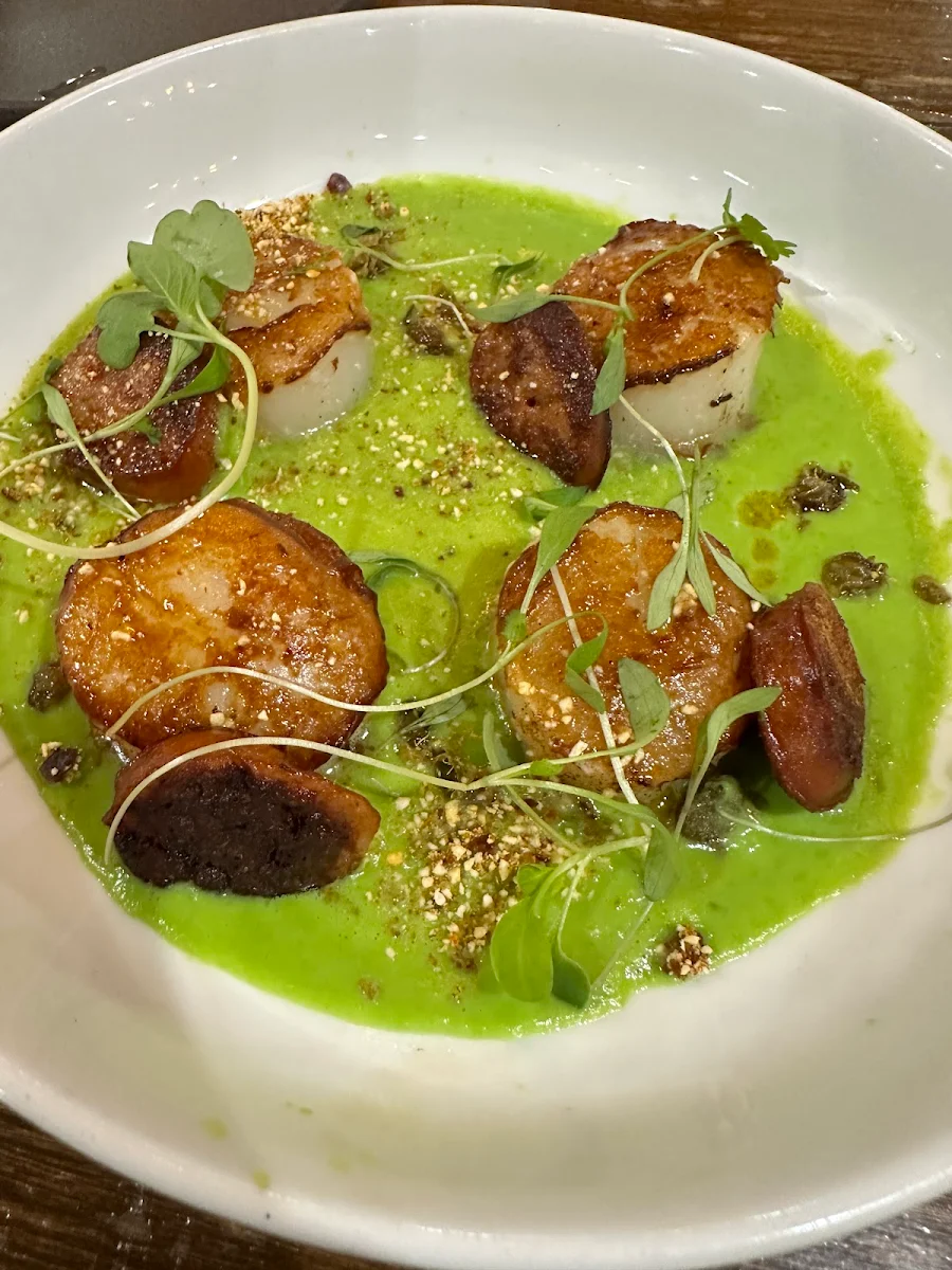 Scallops, Twenty20 Tapas
