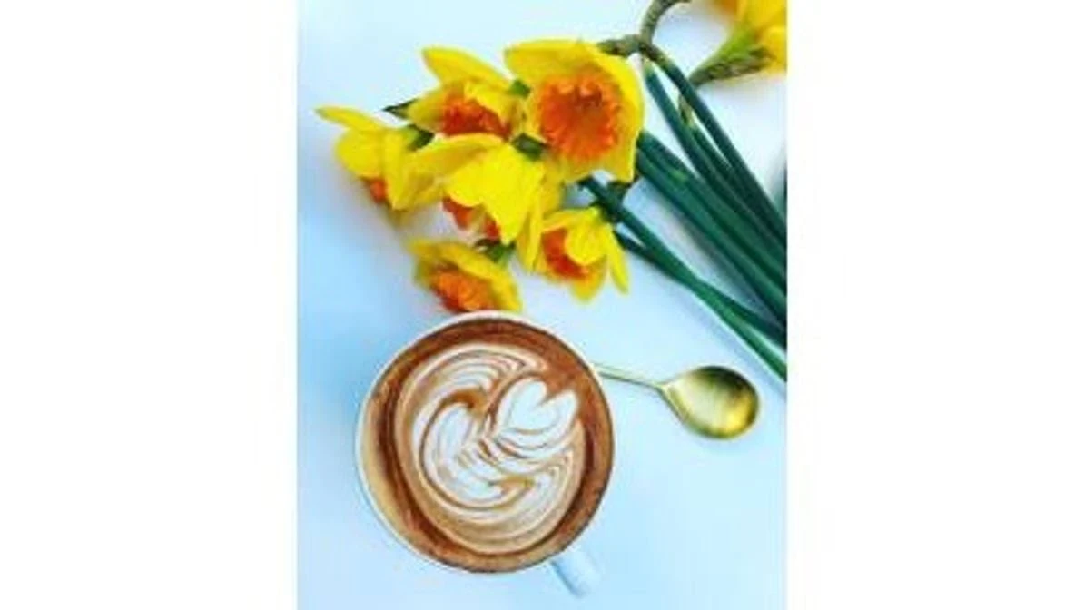 Highlights, CULPA ESPRESSO