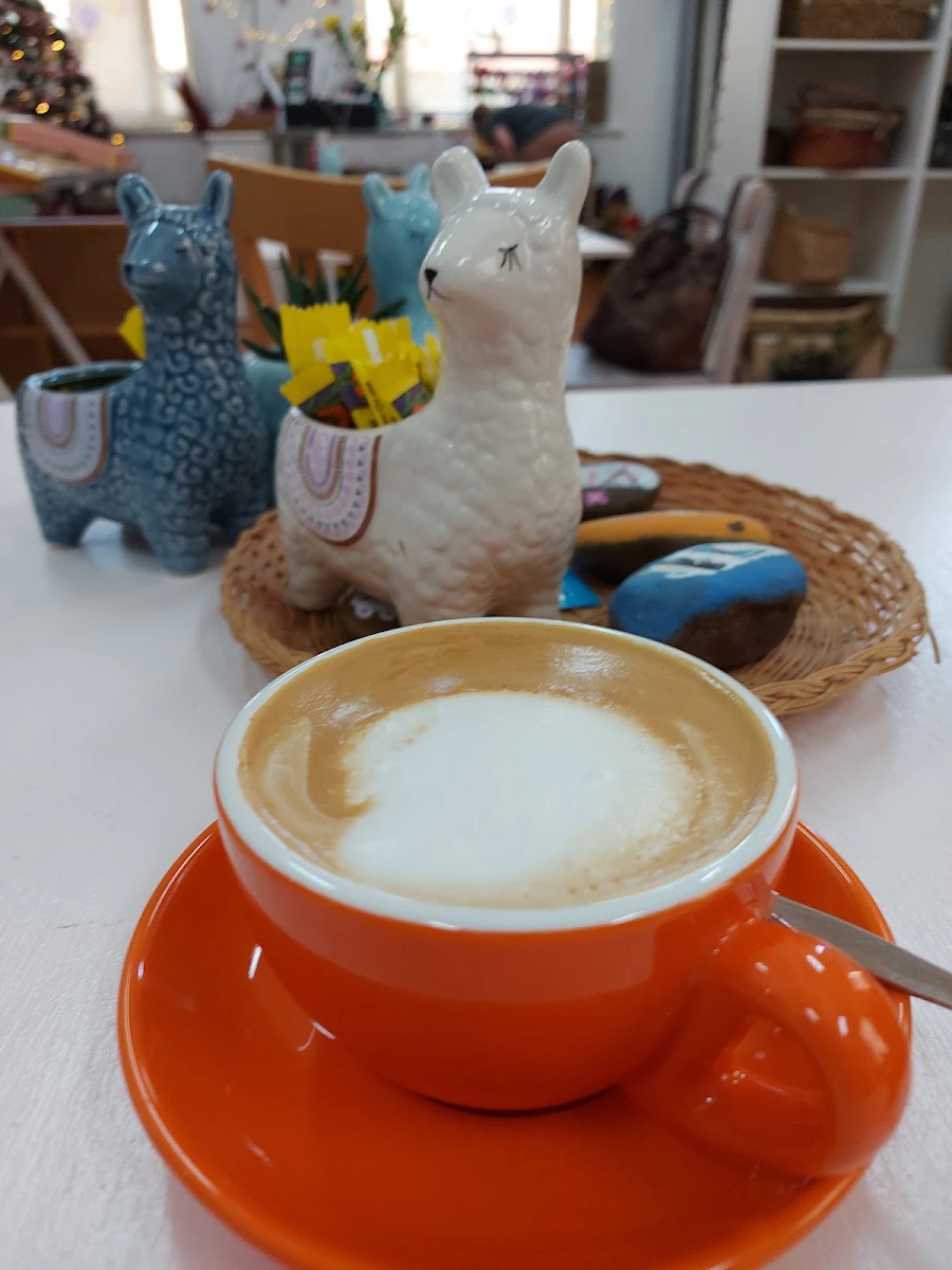 Latte, Alpacaccinos