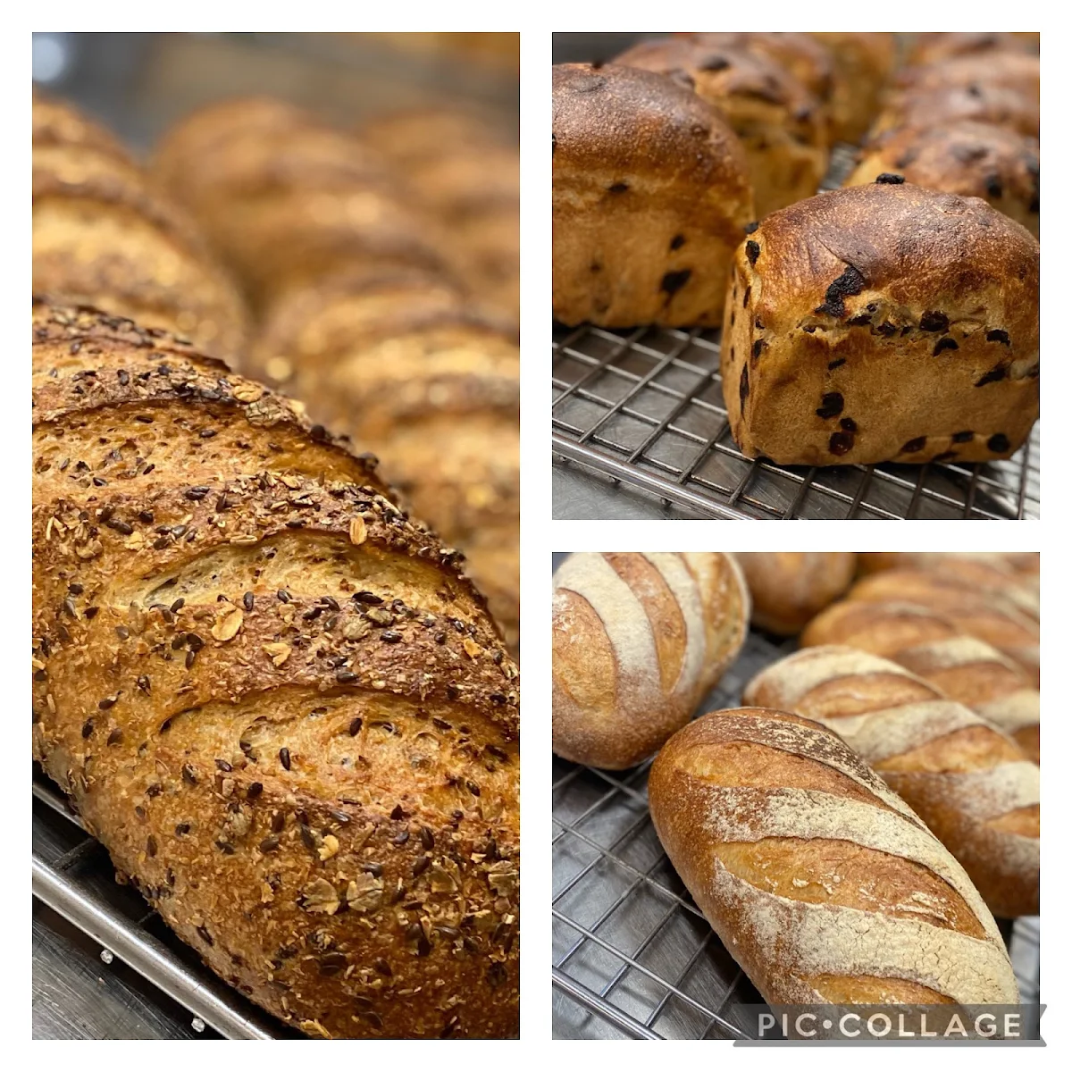 Highlights, Biddick’s Bakery Warrandyte - WINNER 2023 Australian Trades Champion “New Business"