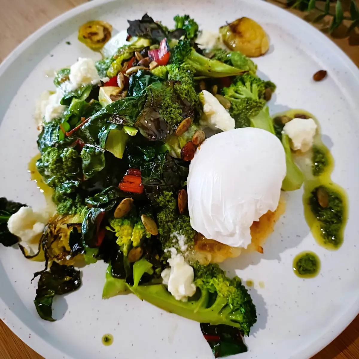Highlights, Home Grown Port Fairy