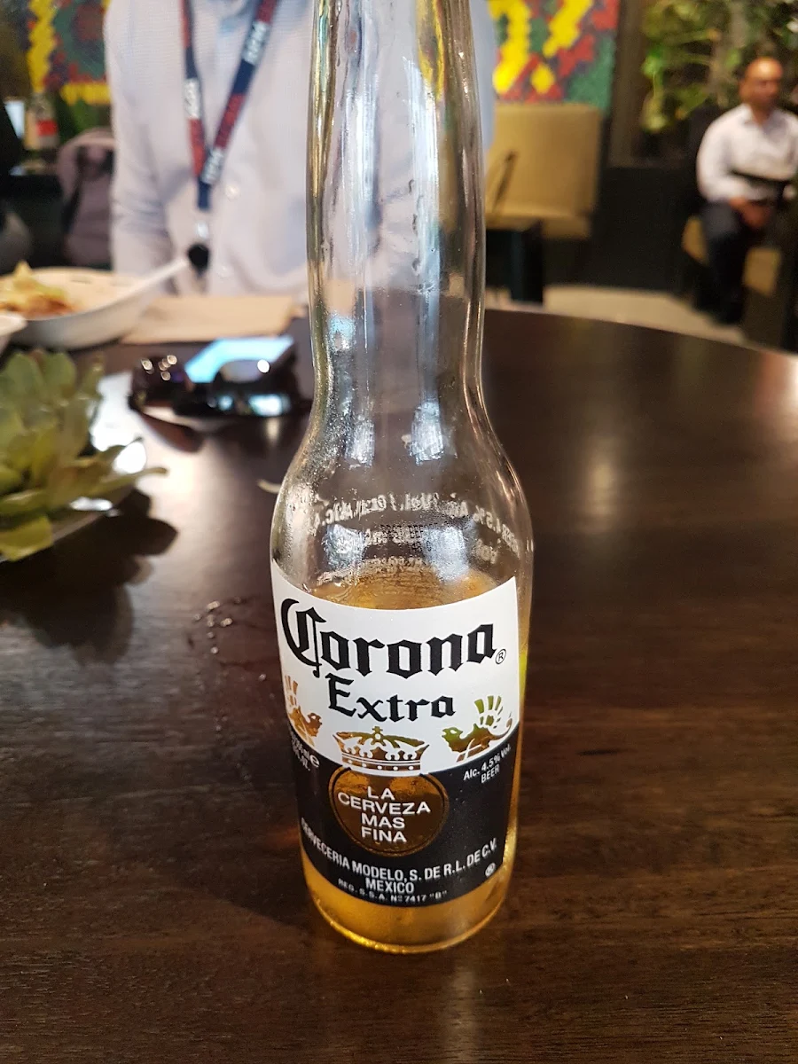 Corona Extra