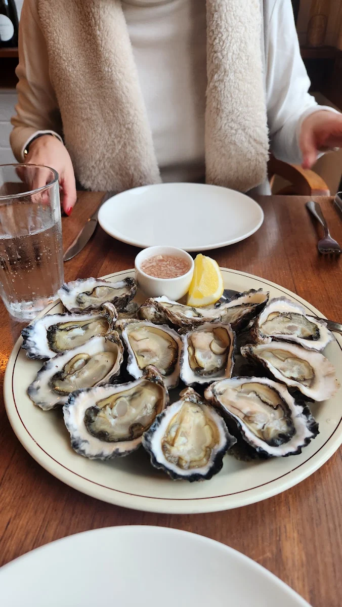 Freshly Shucked Rock Oysters