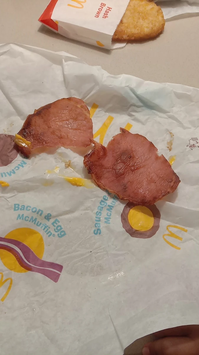 Hard Rubbery Bacon not Even Fit for a K9