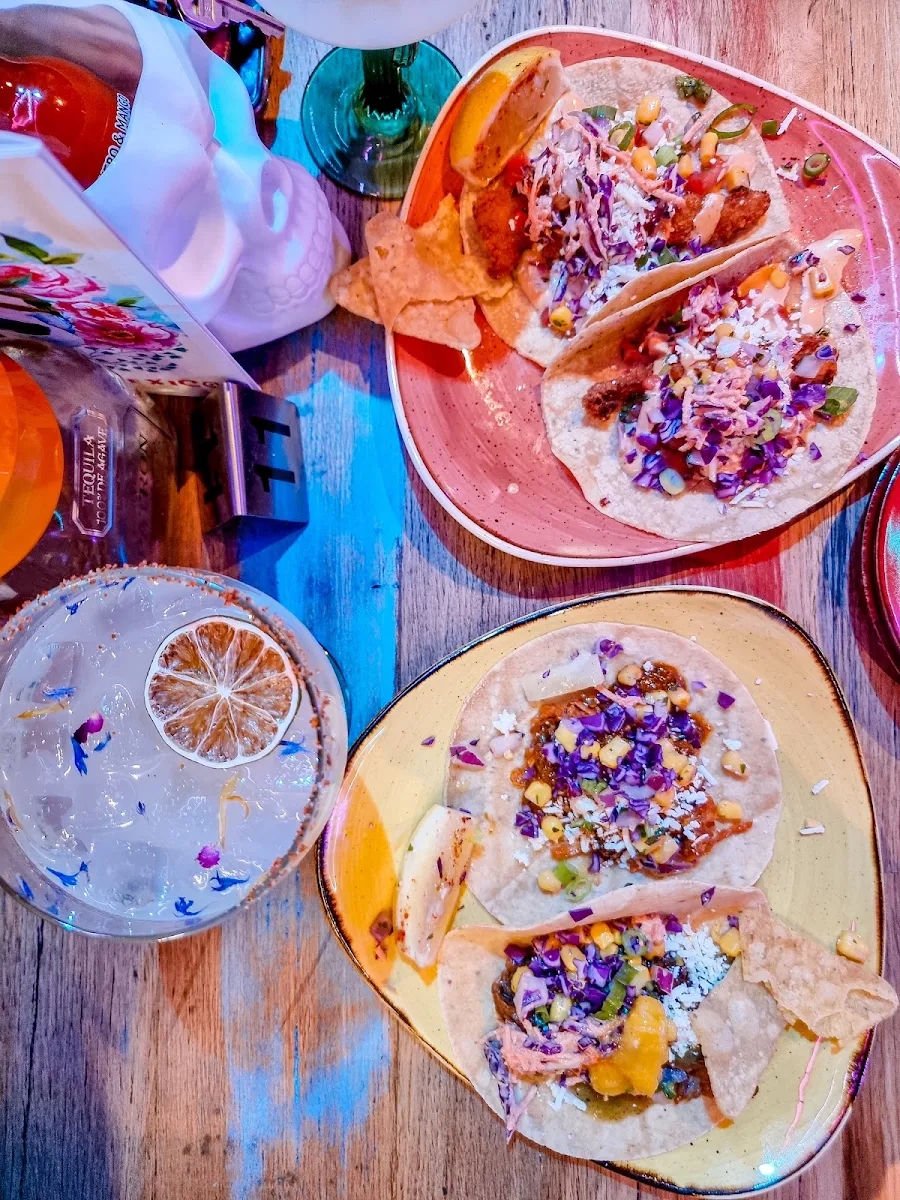 Birria Tacos New