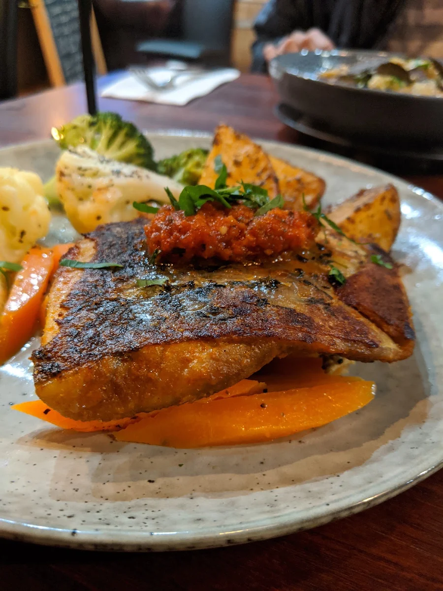 Barramundi