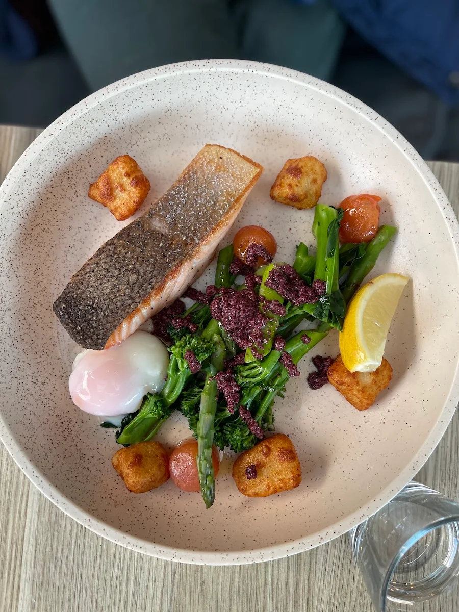 Salmon
