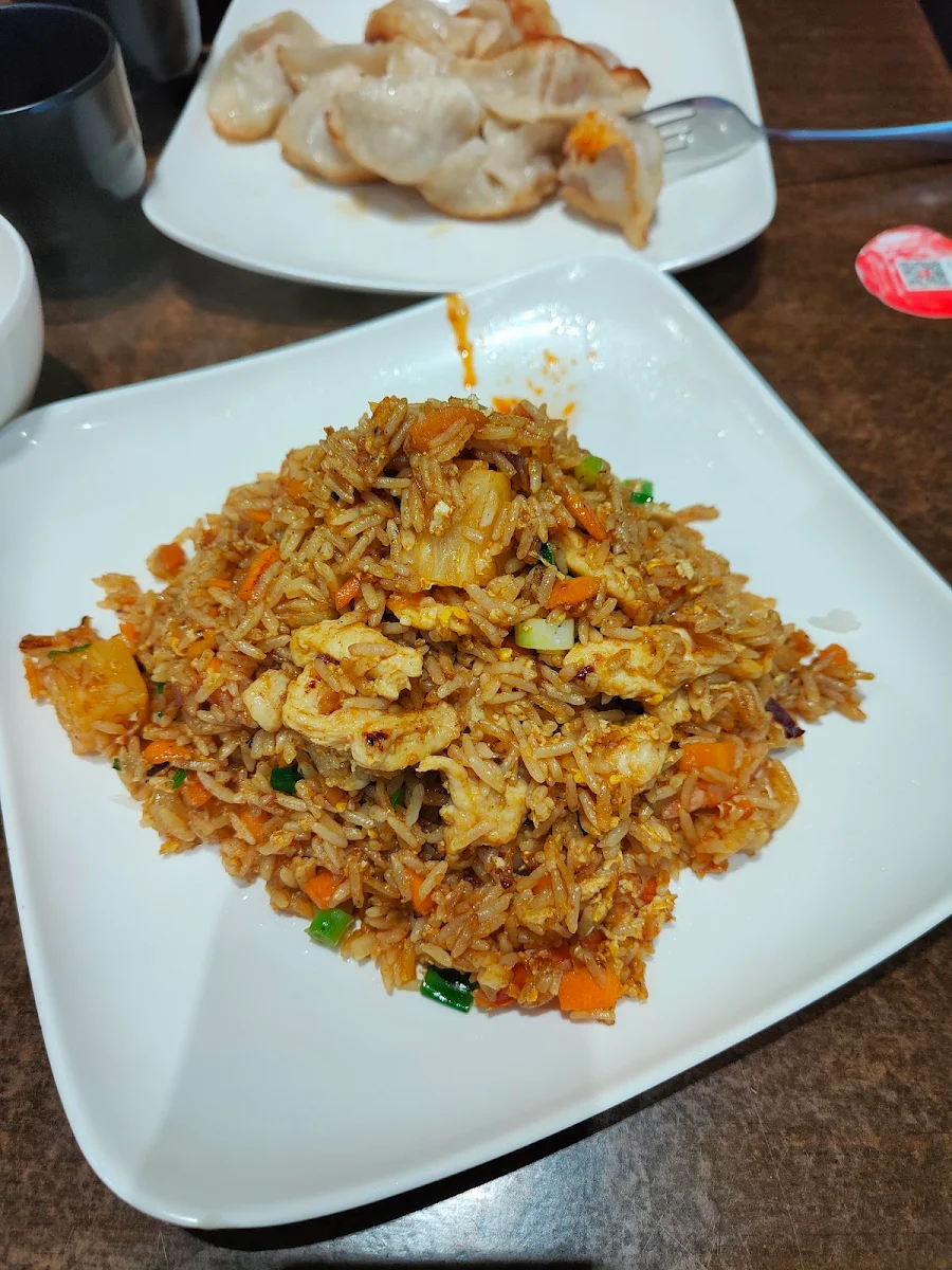 Dumplings and Chicken Fried Rice