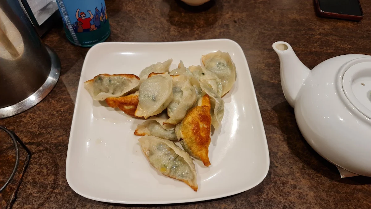 Vegetarian Pan Fried Dumplings